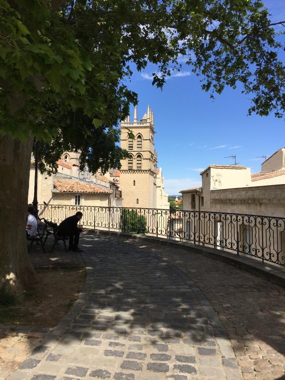 Appartement Vieille Intendance Montpellier Ngoại thất bức ảnh